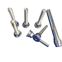 Wholesale Non-Standard Knurled Screw Stainless Steel Screw for Mechanical Assembly
